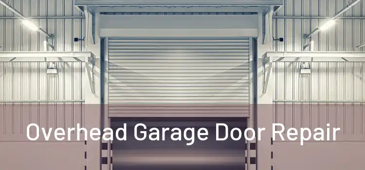  Overhead Garage Door Repair 